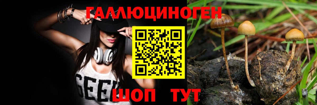 Псилоцибиновые грибы прущие грибы Нефтекамск